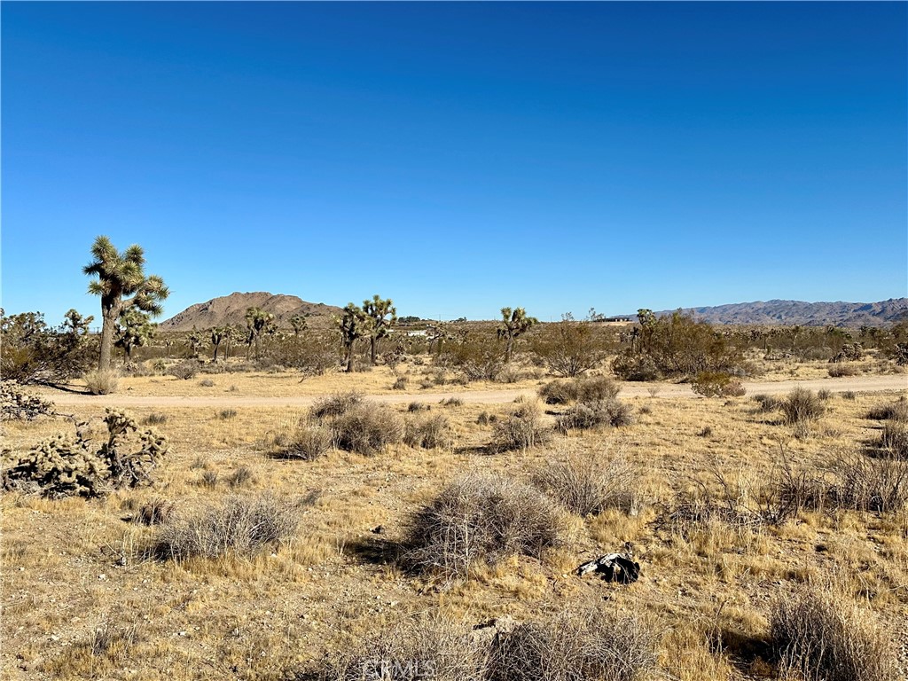 MLS #JT24229658 image #6