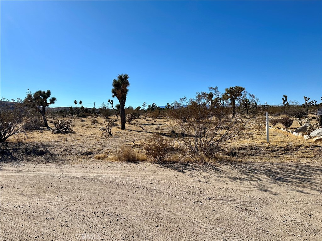 MLS #JT24229658 image #7