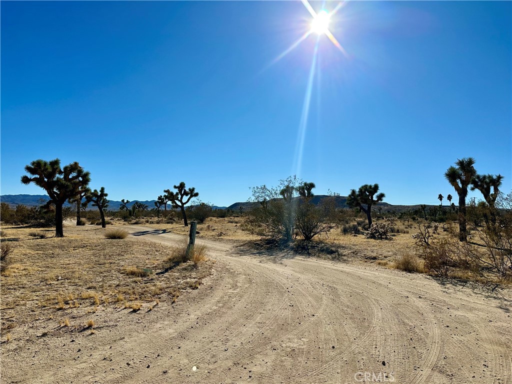 MLS #JT24229658 image #8