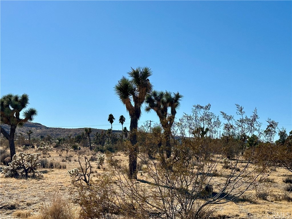 MLS #JT24229658 image #9