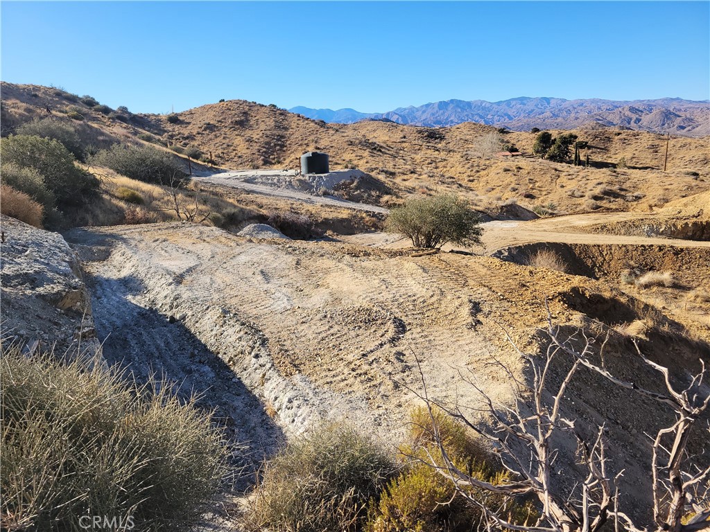 MLS #JT24231279 image #16