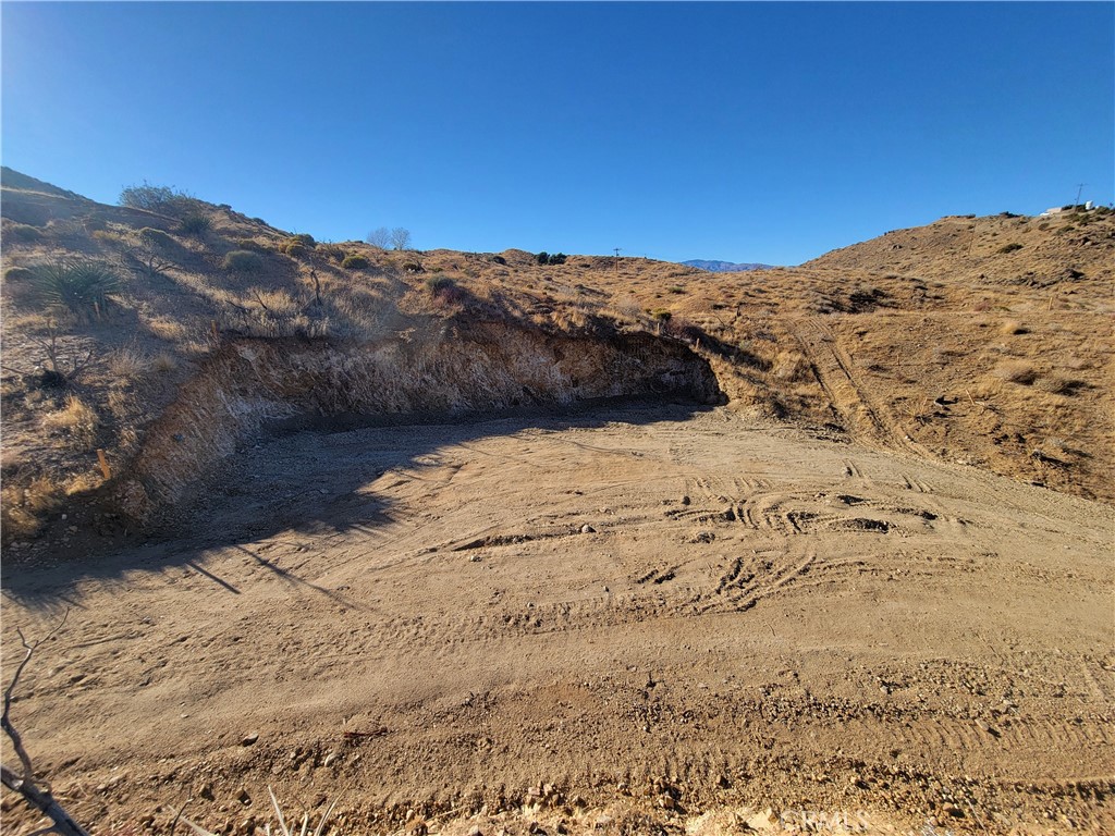 MLS #JT24231279 image #18