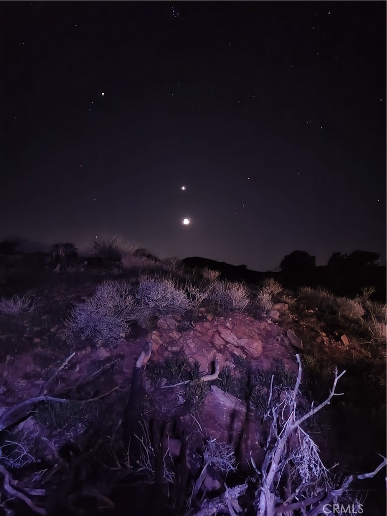 MLS #JT24231279 image #21