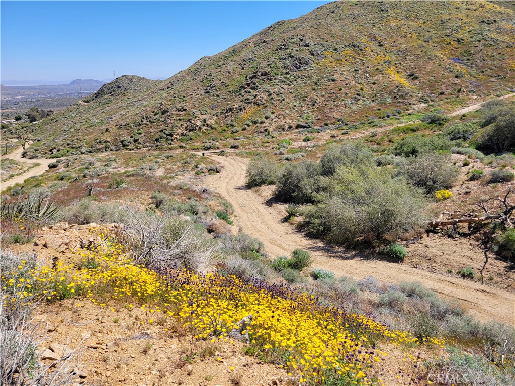 MLS #JT24231279 image #22