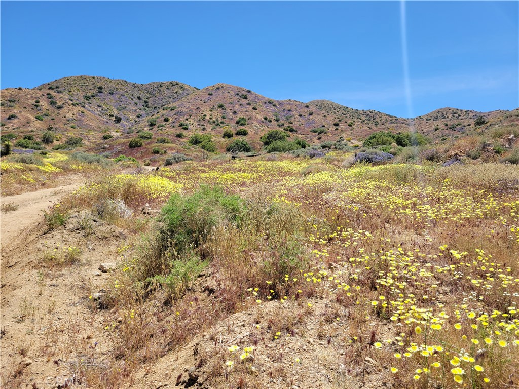 MLS #JT24231279 image #24