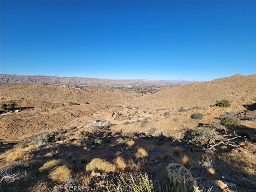 MLS #JT24231279 image #27