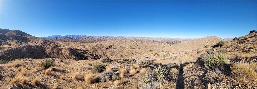 MLS #JT24231279 image #28