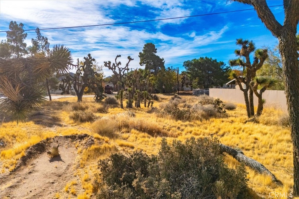 MLS #JT24242318 image #10