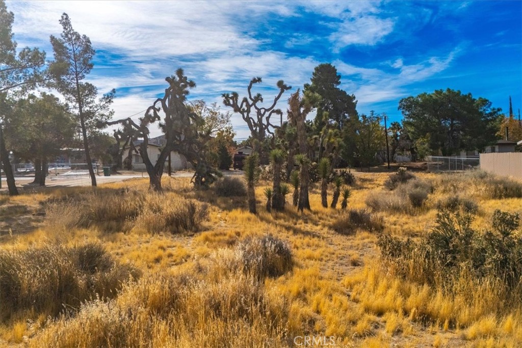 MLS #JT24242318 image #11