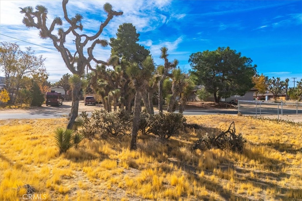 MLS #JT24242318 image #12