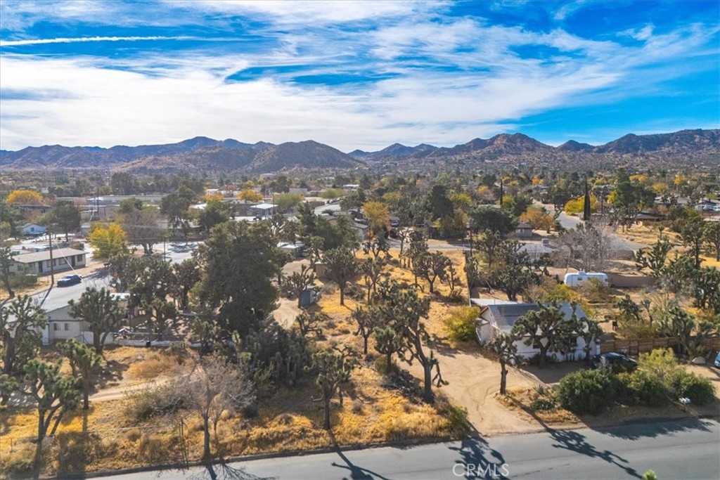 MLS #JT24242318 image #4