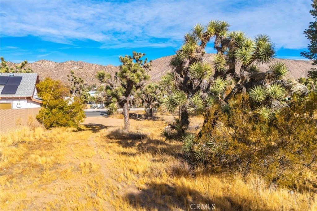 MLS #JT24242318 image #5