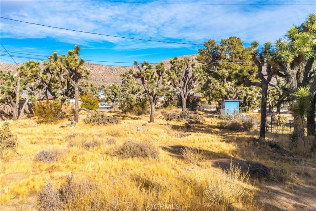 MLS #JT24242318 image #6