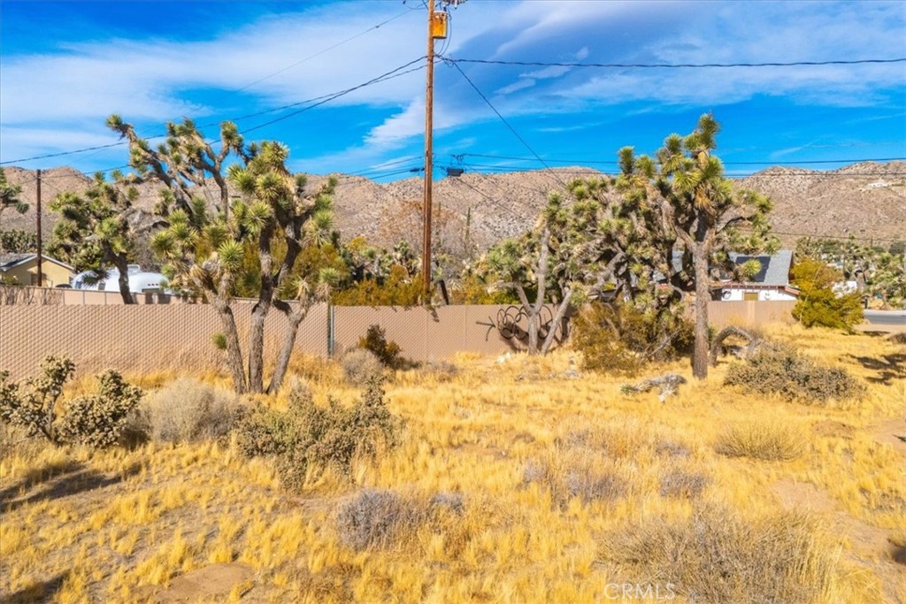 MLS #JT24242318 image #7