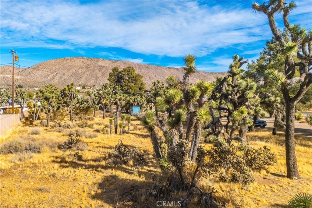 MLS #JT24242318 image #8