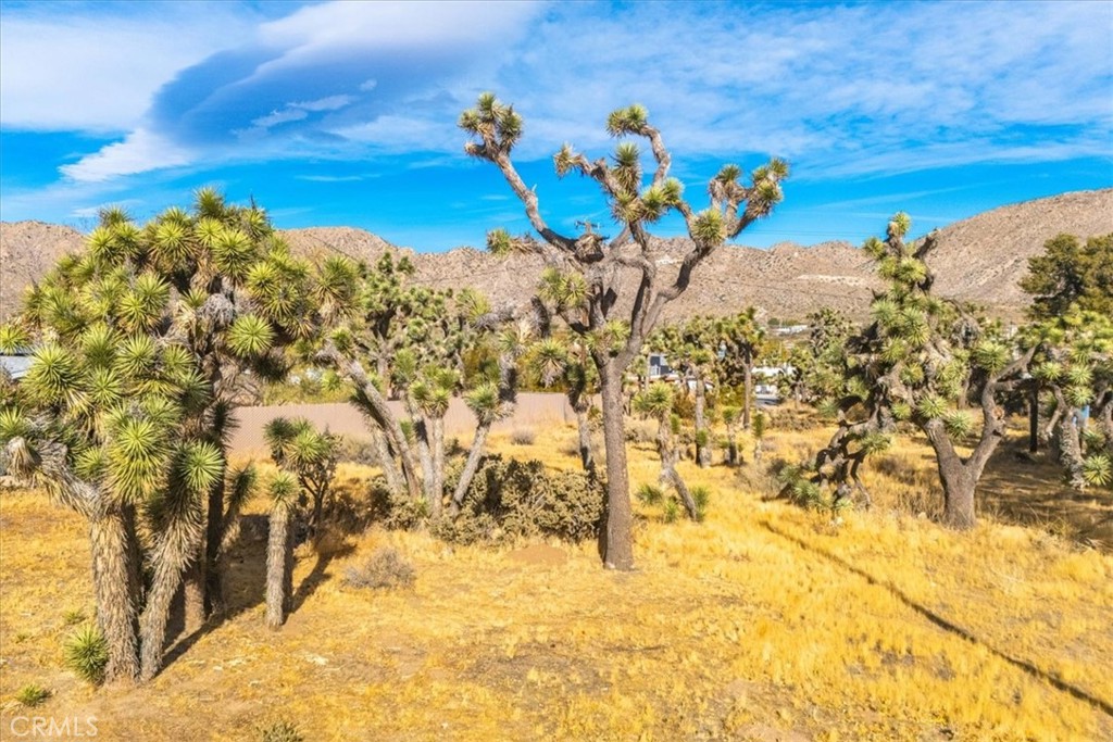 MLS #JT24242318 image #9