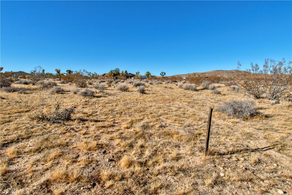 MLS #JT24248721 image #10