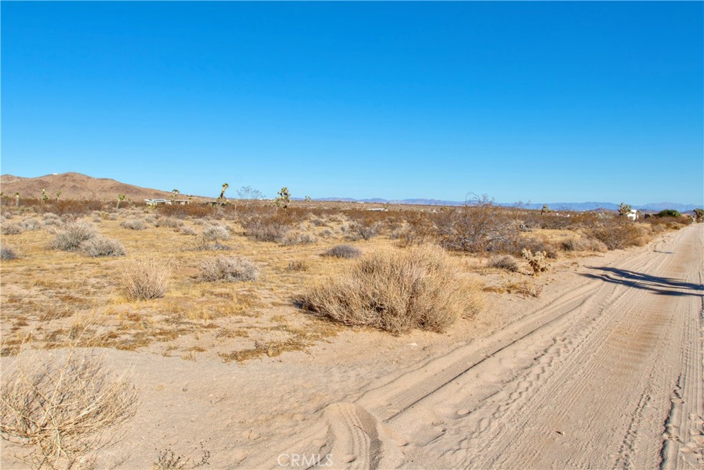 MLS #JT24248721 image #11