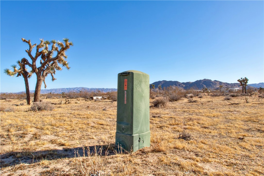 MLS #JT24248748 image #9