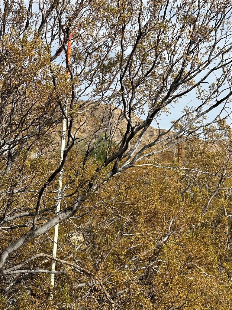 MLS #JT24248929 image #1