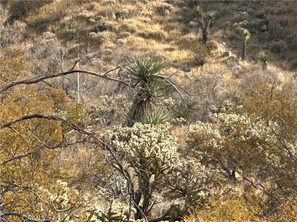 MLS #JT24248929 image #2