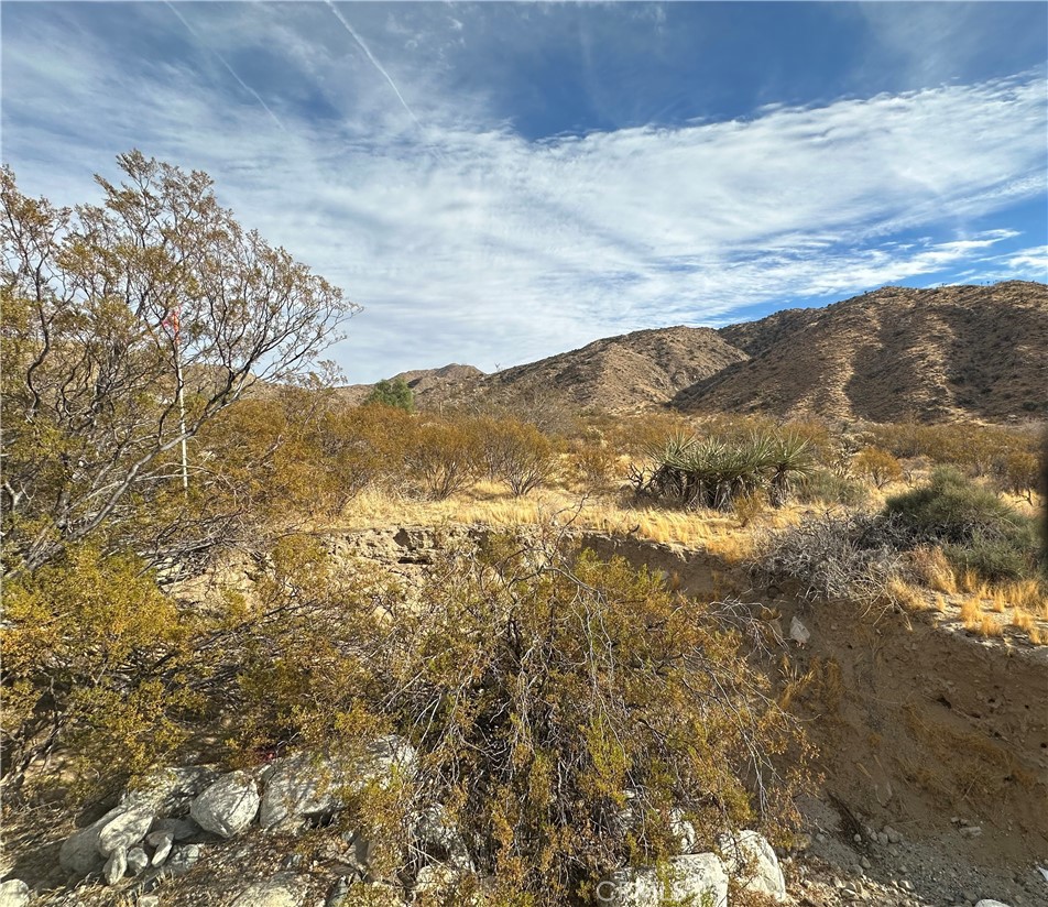 MLS #JT24248929 image #3