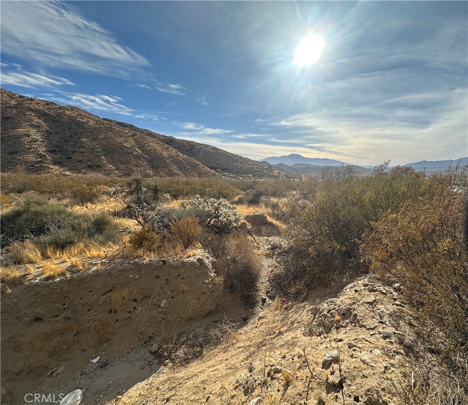 MLS #JT24248929 image #4