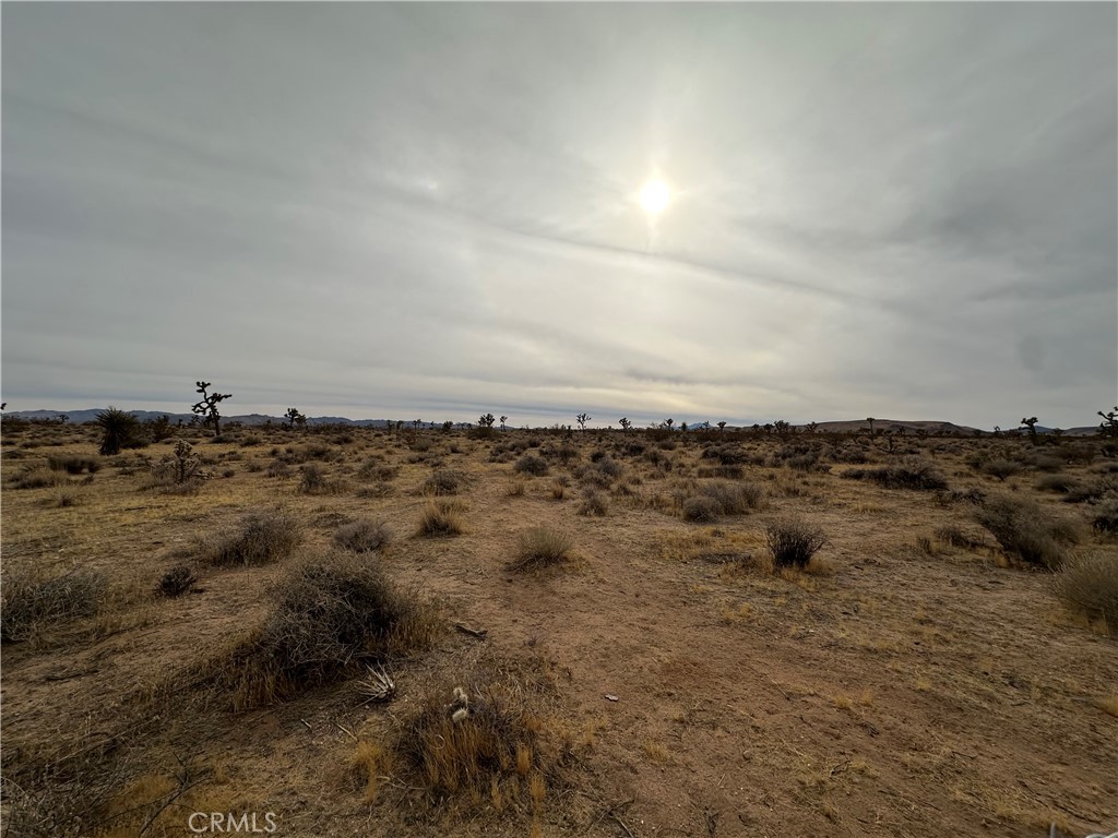 MLS #JT24249024 image #1