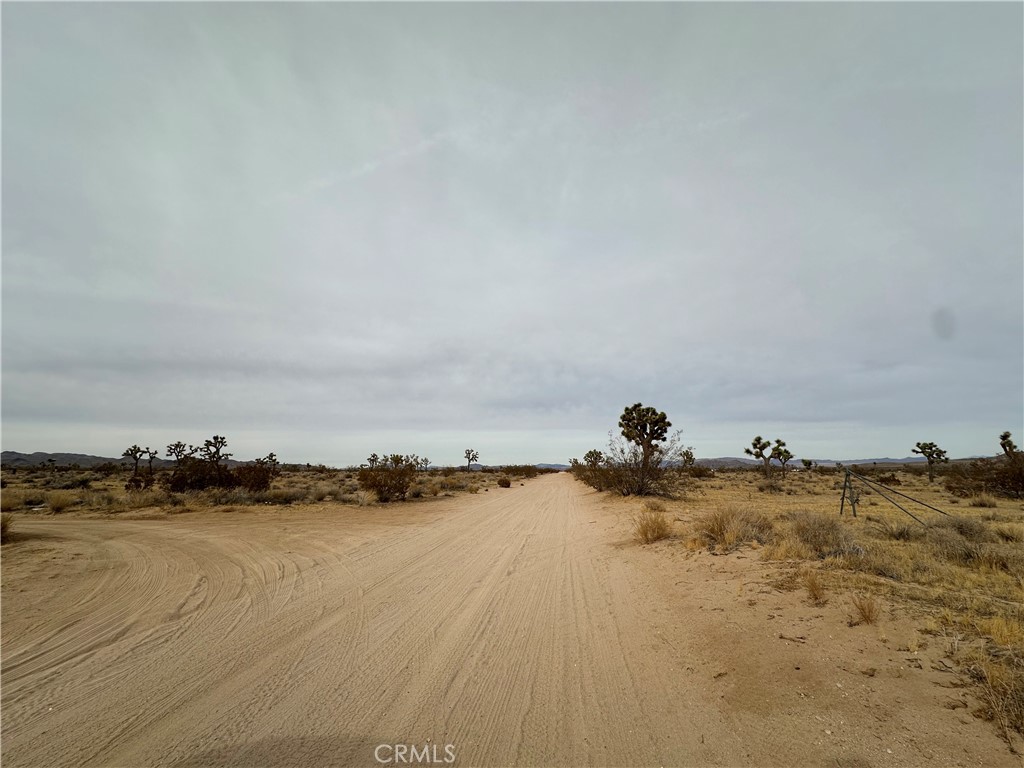 MLS #JT24249024 image #3