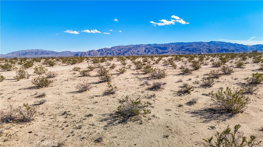 MLS #JT24249924 image #17