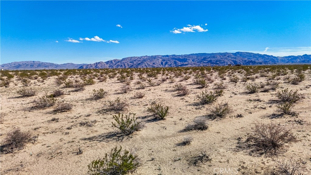 MLS #JT24249924 image #25