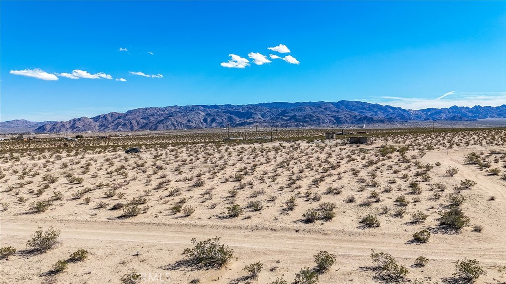 MLS #JT24249924 image #9