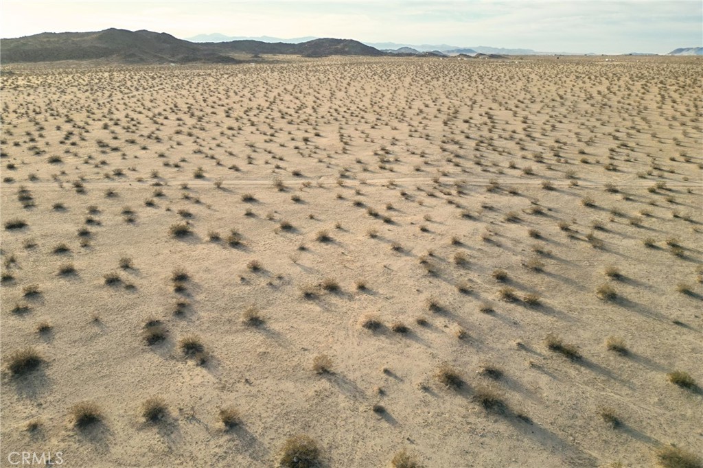 MLS #JT24251193 image #10