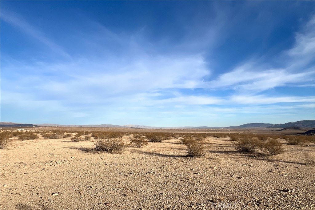 MLS #JT24251193 image #11