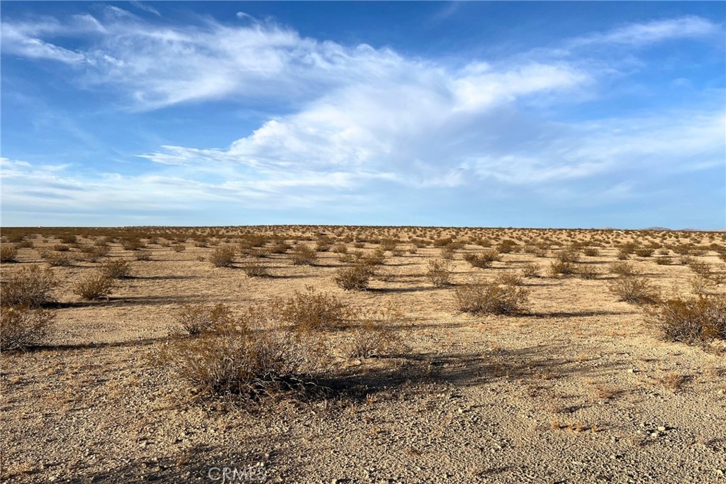 MLS #JT24251193 image #3