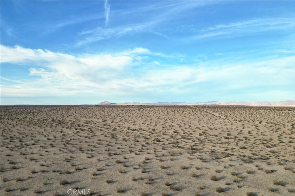 MLS #JT24251193 image #6