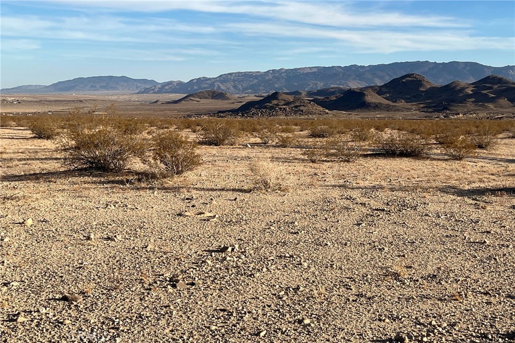 MLS #JT24251193 image #7