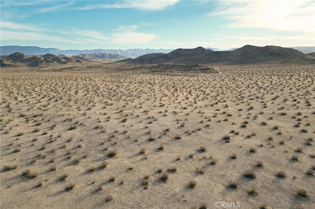 MLS #JT24251193 image #9