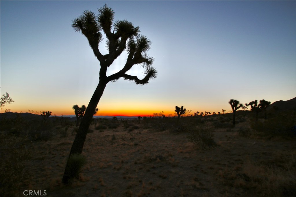 MLS #JT25001678 image #35