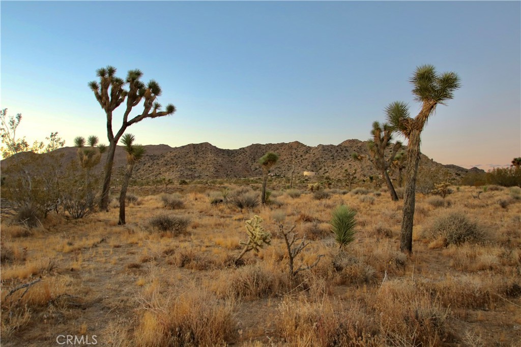 MLS #JT25001678 image #38