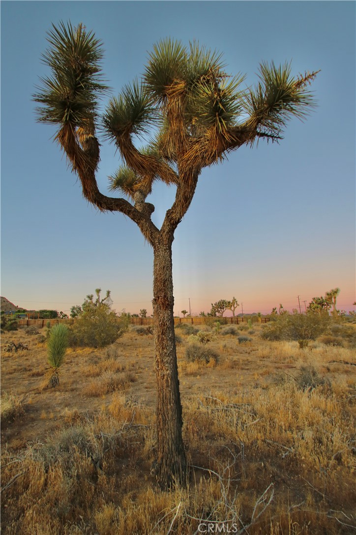 MLS #JT25001678 image #40