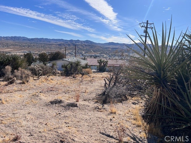 MLS #JT25006607 image #10