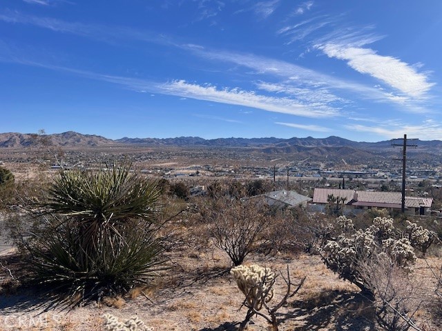 MLS #JT25006607 image #11