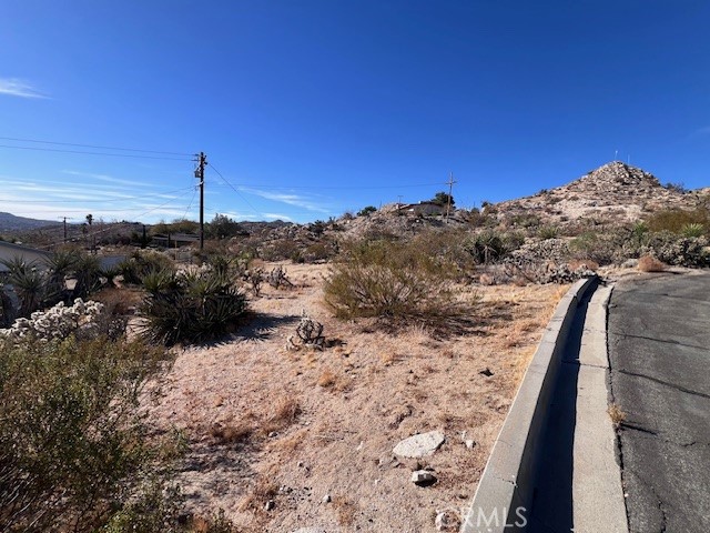 MLS #JT25006607 image #8