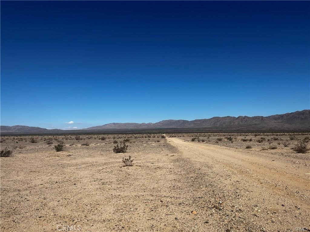 MLS #JT25008696 image #2