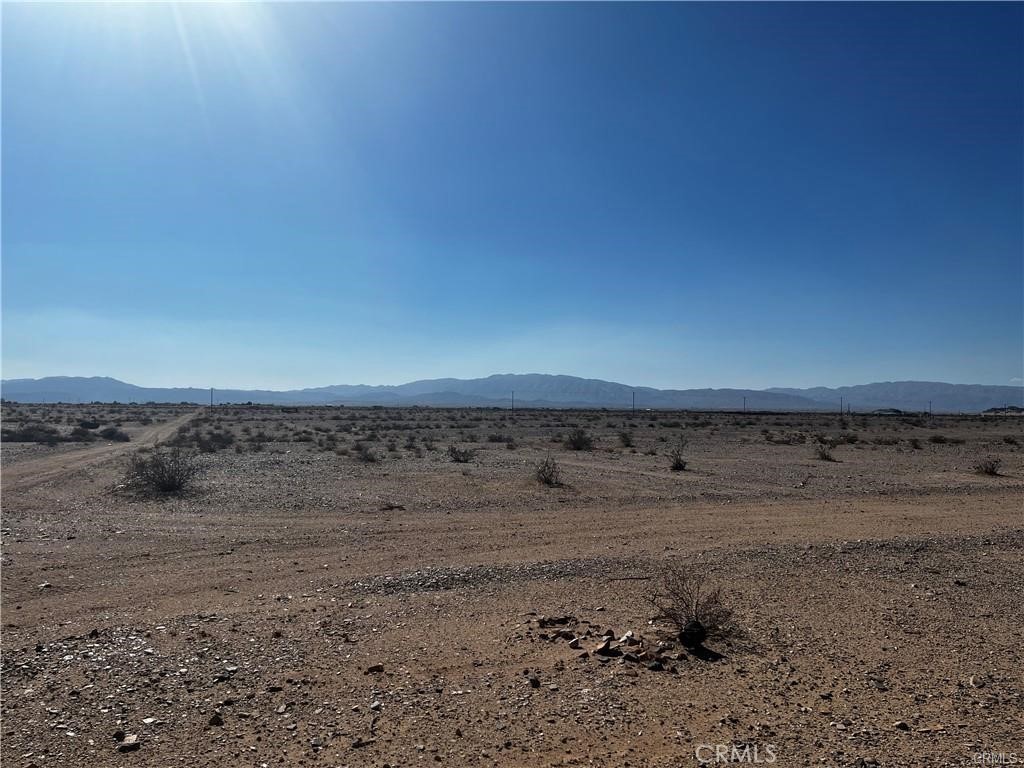 MLS #JT25008696 image #4