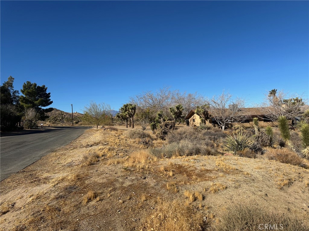 MLS #JT25009563 image #1