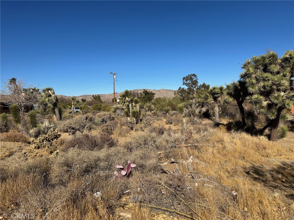 MLS #JT25009563 image #2