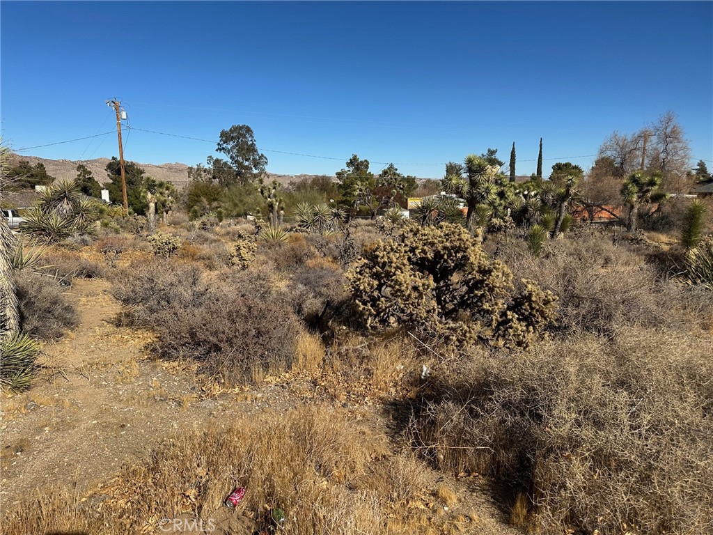 MLS #JT25009563 image #3