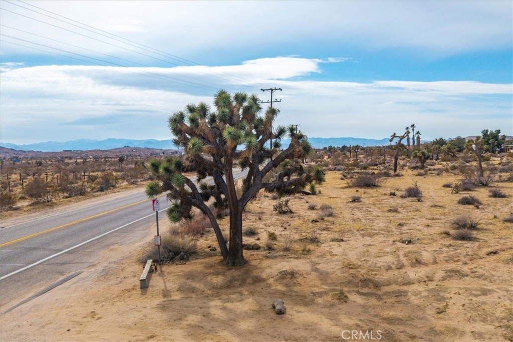 MLS #JT25012913 image #4